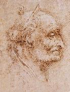 LEONARDO da Vinci Aurelio Luini attributed, profile of an old man Germany oil painting artist
